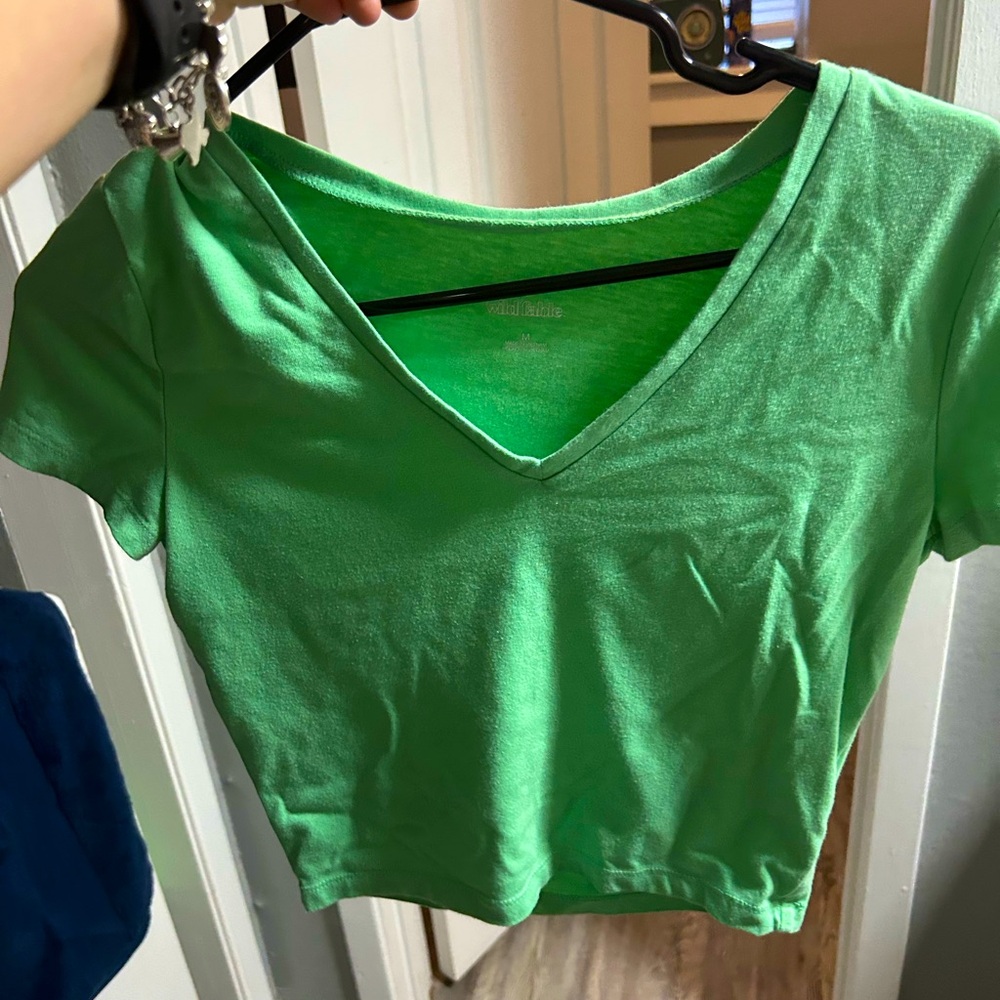 Wild fable crop top